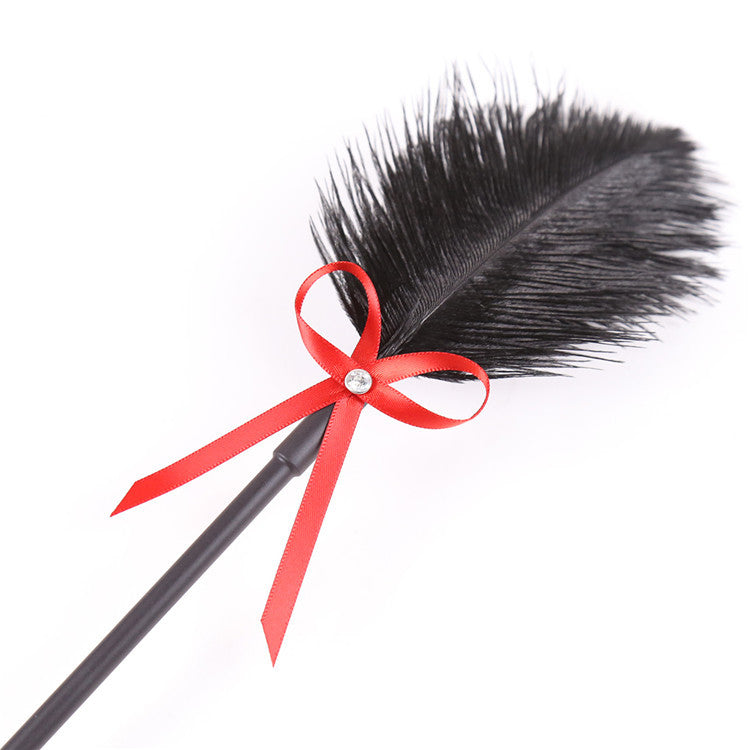 2-in-1 Scuab Cleite & Pádlán Spéaclaíochta