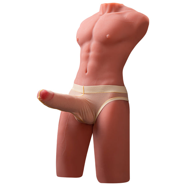 17.6 LB Torso Fireann Réalaíoch 3D le Péineas Insamhlaithe 6.7 Orlach